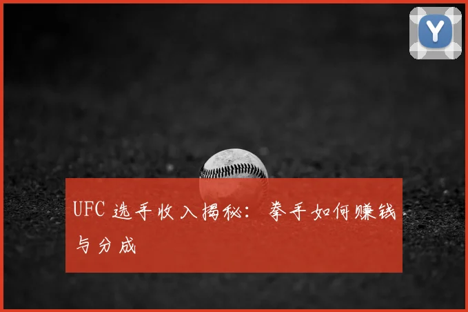 UFC 选手收入揭秘：拳手如何赚钱与分成