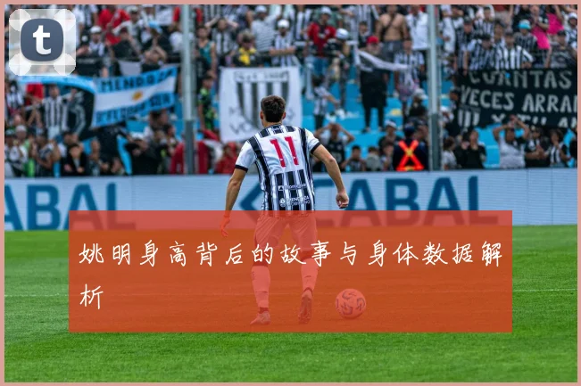 姚明身高背后的故事与身体数据解析