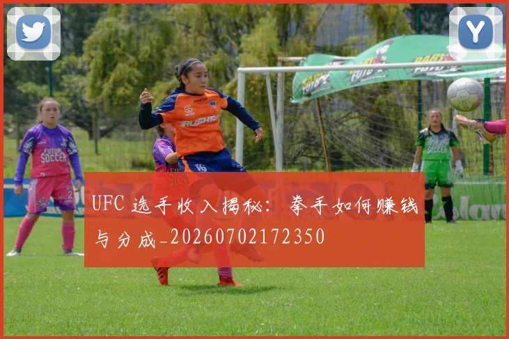UFC 选手收入揭秘：拳手如何赚钱与分成_20260702172350