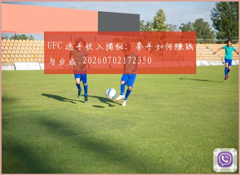 UFC 选手收入揭秘：拳手如何赚钱与分成_20260702172350