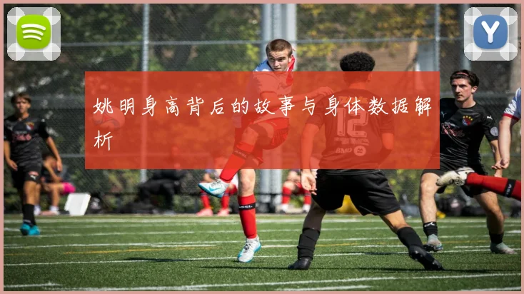 姚明身高背后的故事与身体数据解析