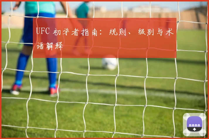 UFC 初学者指南：规则、级别与术语解释
