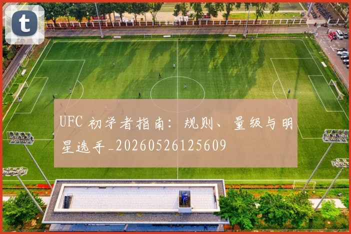 UFC 初学者指南：规则、量级与明星选手_20260526125609