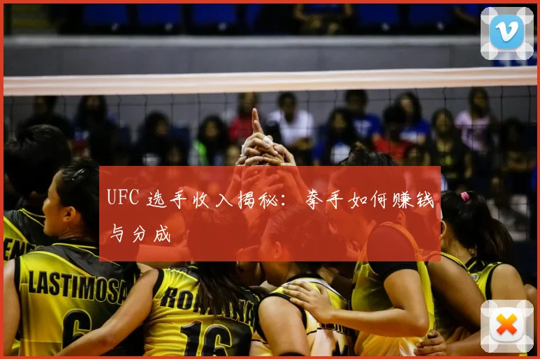 UFC 选手收入揭秘：拳手如何赚钱与分成