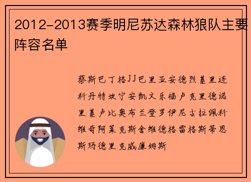 2012-2013赛季明尼苏达森林狼队主要阵容名单